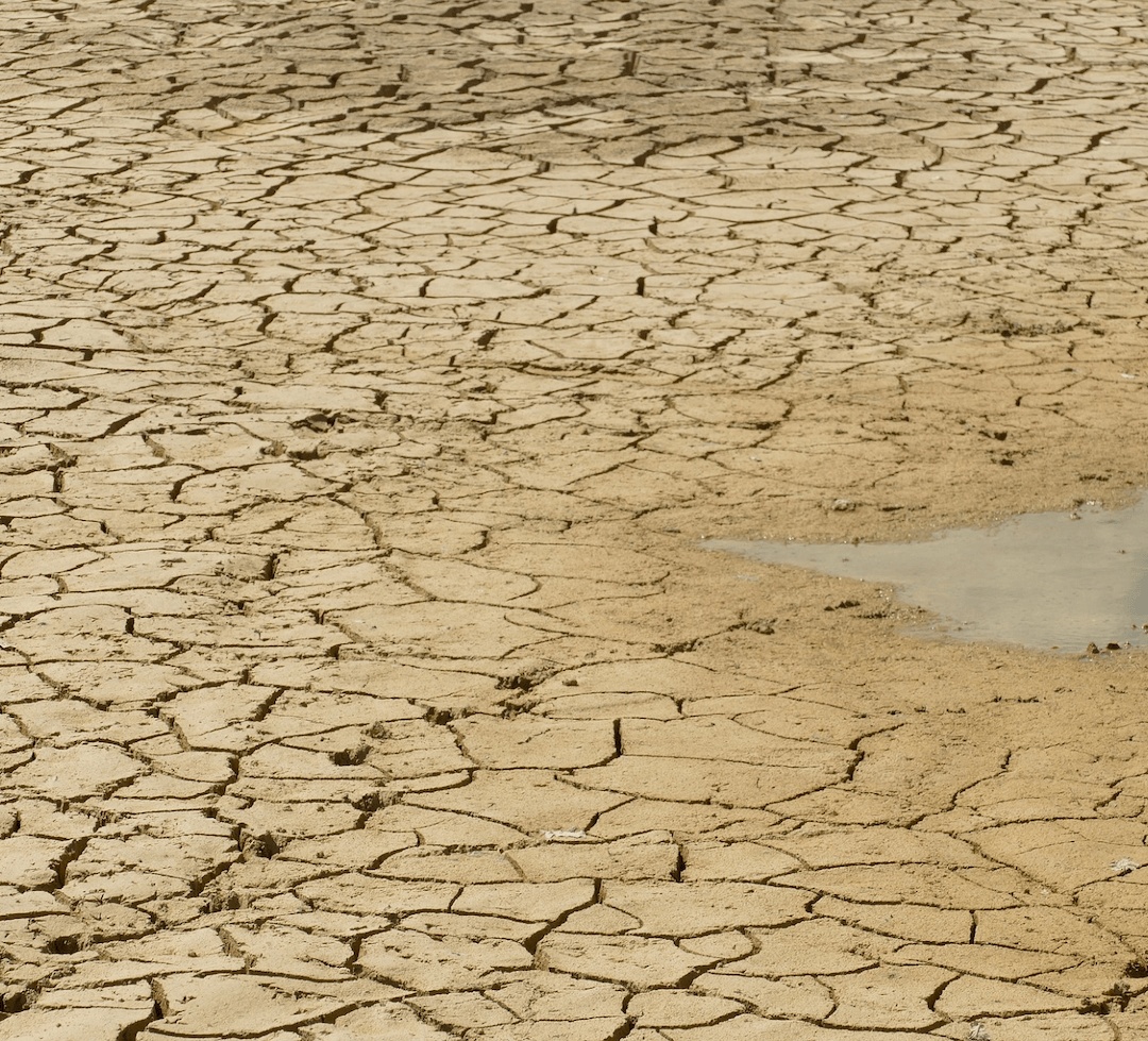 Adaptační strategie DSO Čistý jihovýchod na změny klimatu