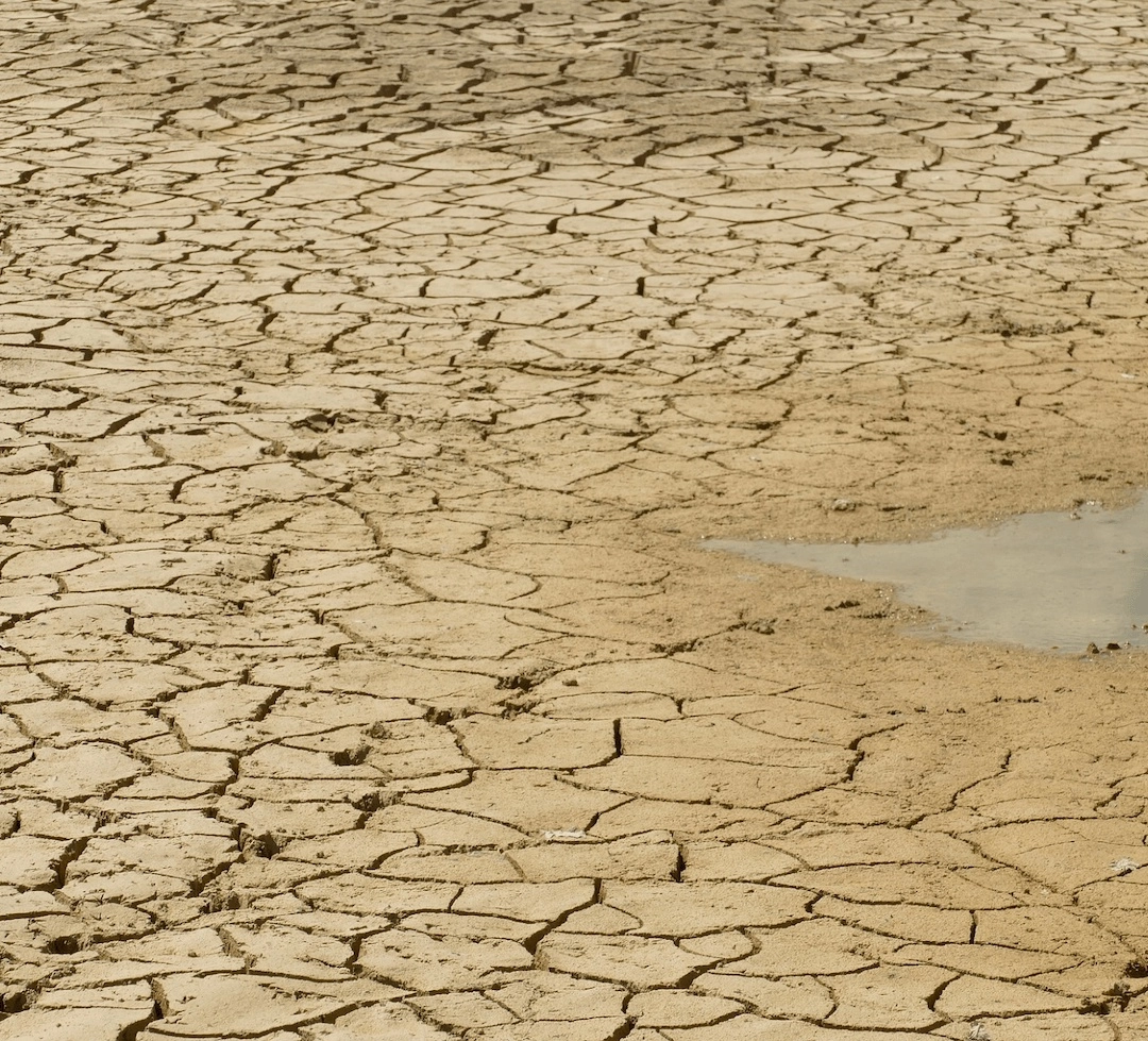 Adaptační strategie DSO Čistý jihovýchod na změny klimatu